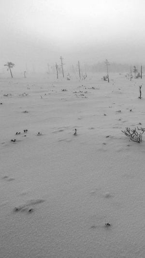 Snow Walk Winter White Footprints Nature Mountain Android wallpaper