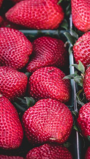 Strawberry Red Fruit Nature Sprin Android wallpaper