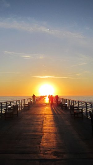 Sunny Sunset Morning Nature Sea Android wallpaper