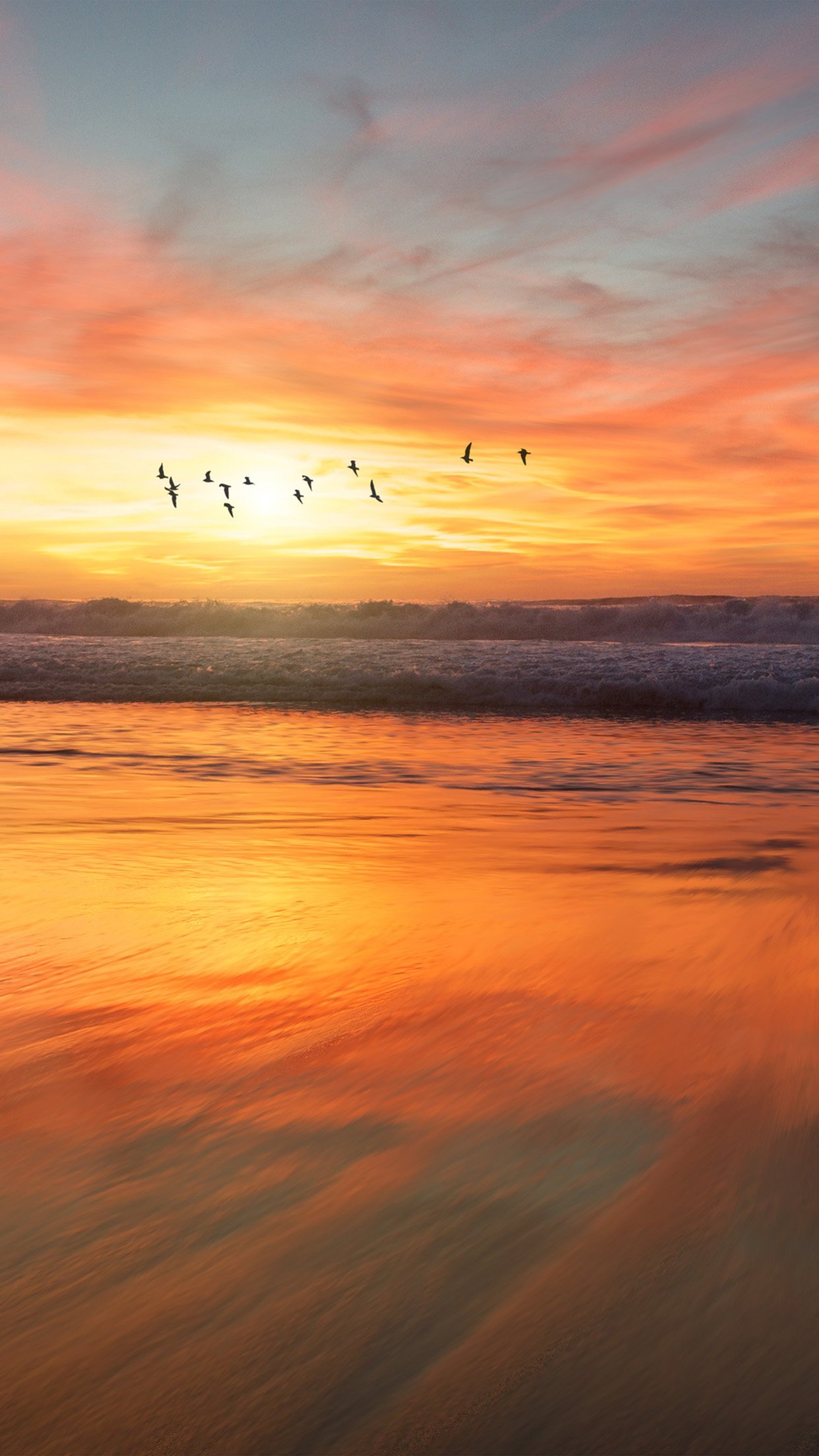 Sunset Sea Nature Orange Summer Sky Bird Android wallpaper