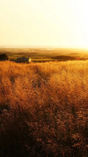 The Gladiator Farm Nature Android wallpaper