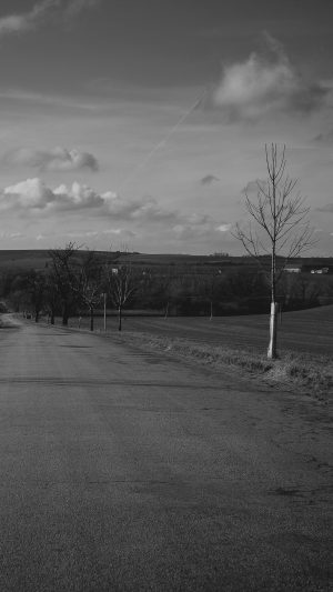 The Road Viktor Hanacek Bw Fall Nature Android wallpaper