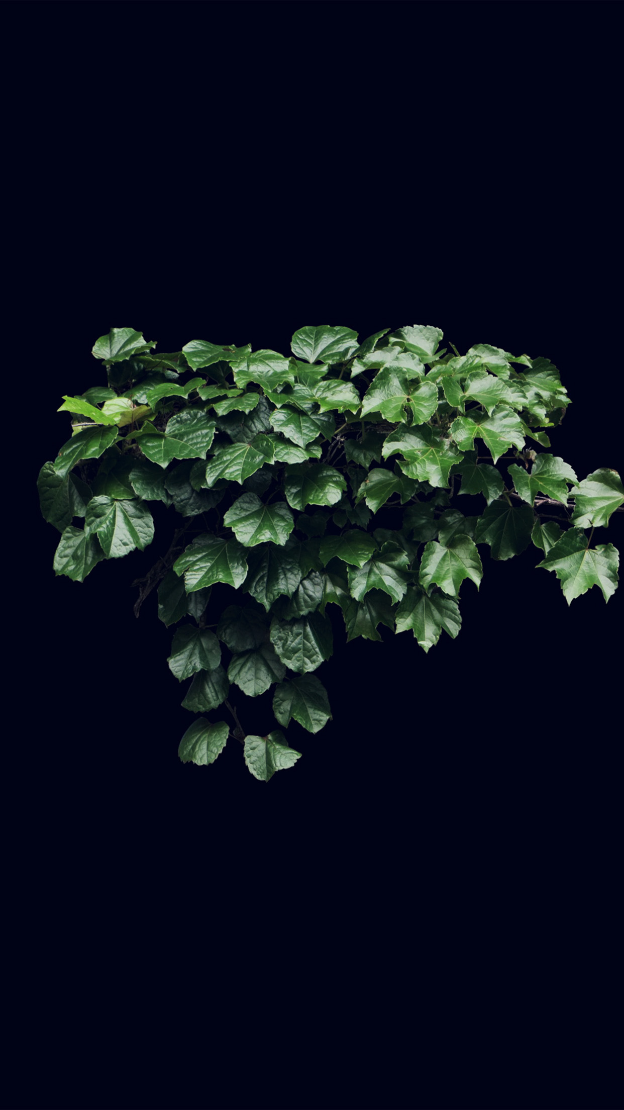 Truevine Dark Nature Green Flower Leaf Android wallpaper
