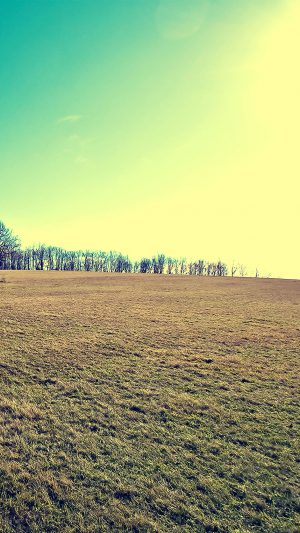 Wallpaper Autumn Fall Field Green Nature Android wallpaper