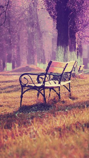 Wallpaper Fall Blue Park Chair Lonely Nature Android wallpaper