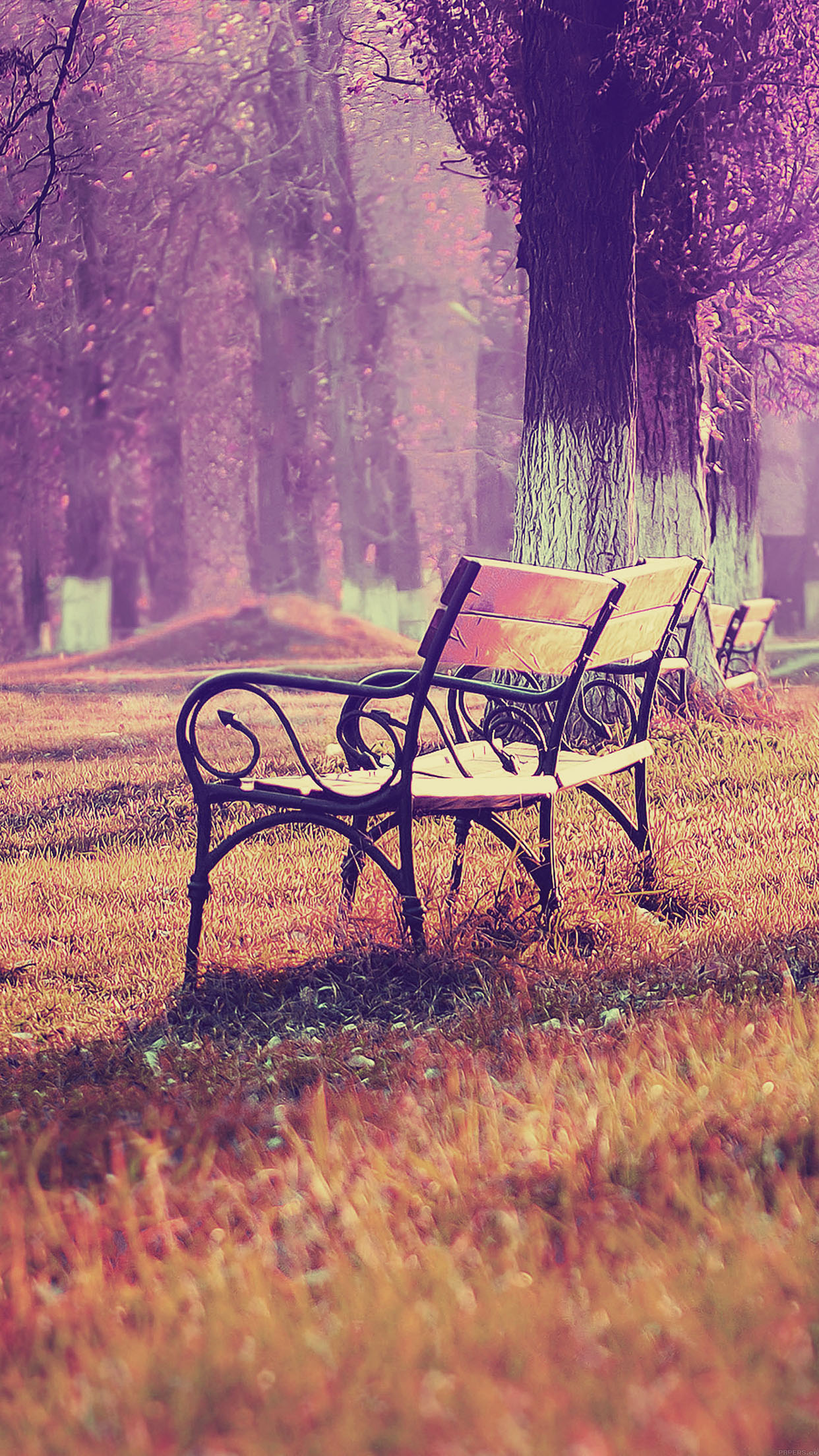 Wallpaper Fall Blue Park Chair Lonely Nature Android wallpaper