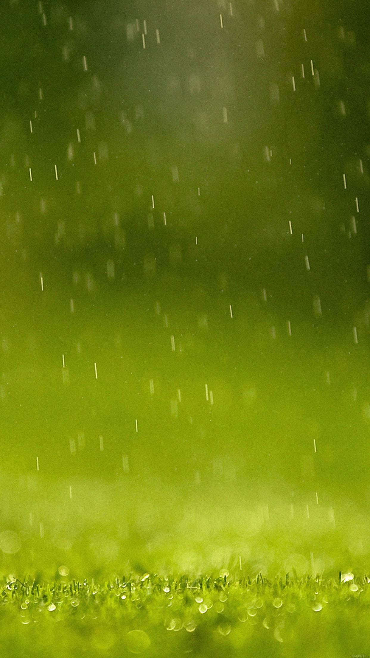 Wallpaper Green Rain Nature Android wallpaper
