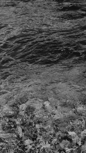 Water Ripples Sea Dark Bw Nature Pattern Android wallpaper