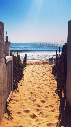 Way To Sea Sand Ocean Beach Nature Android wallpaper
