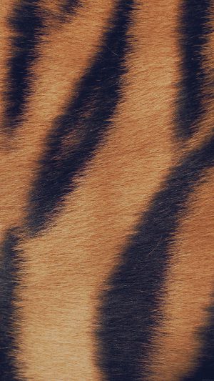 Wild Cat Texture Fur Nature Pattern Android wallpaper