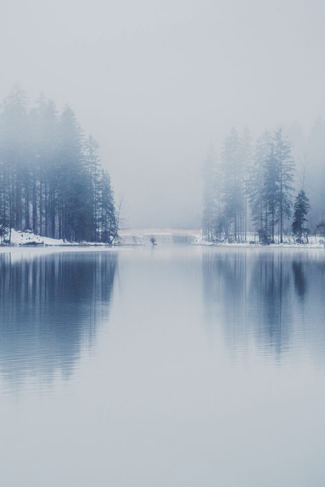 Winter Lake White Blue Wood Nature Android wallpaper