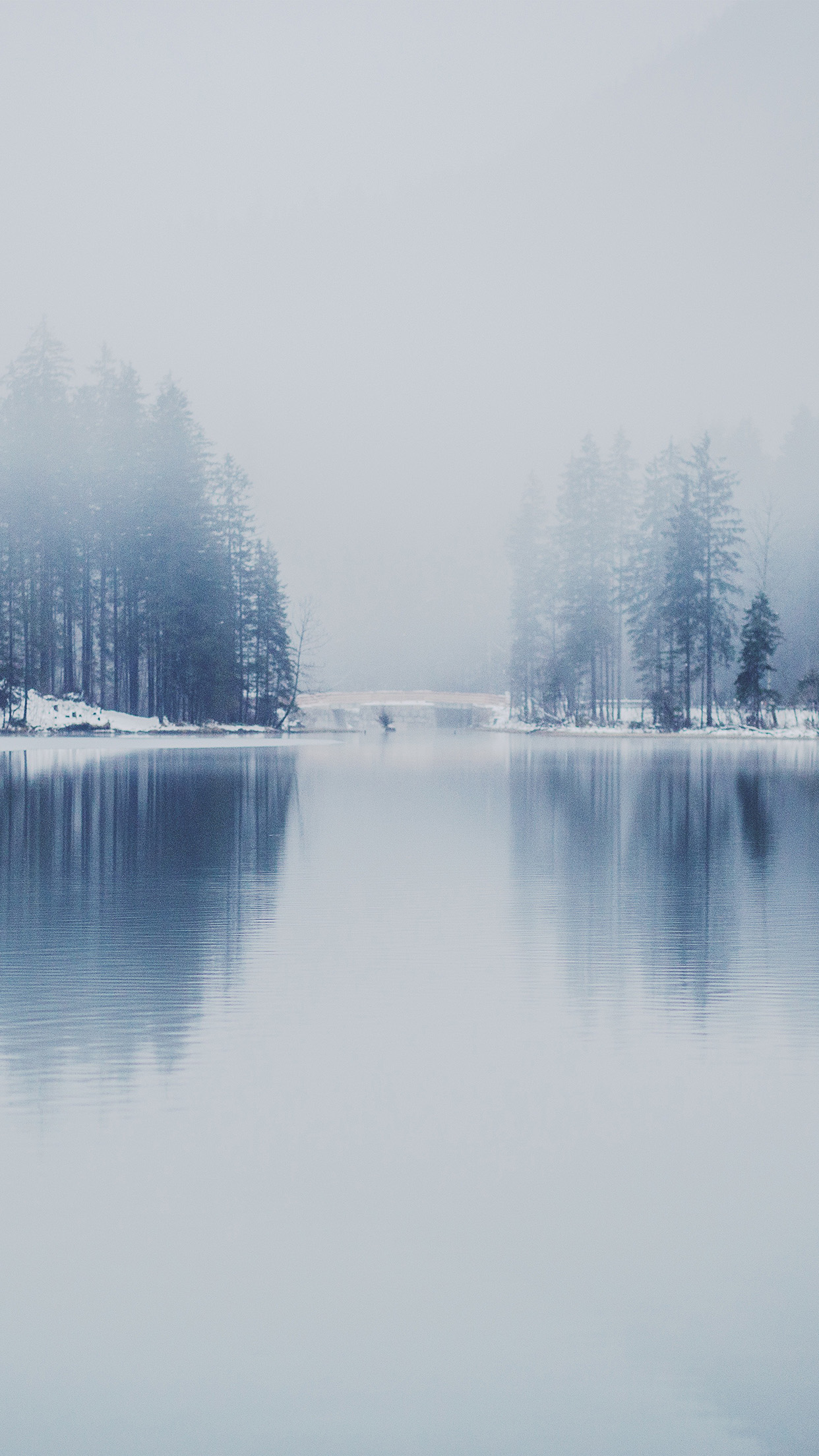 Winter Lake White Blue Wood Nature Android wallpaper