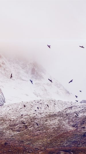Winter Mountain Bird Rene Reichelt Flare Nature Android wallpaper