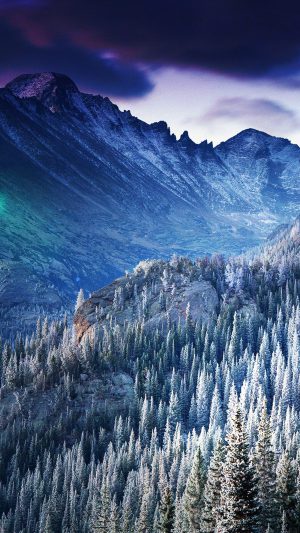 Winter Mountain Blue Woods Tree Nature Cold Android wallpaper
