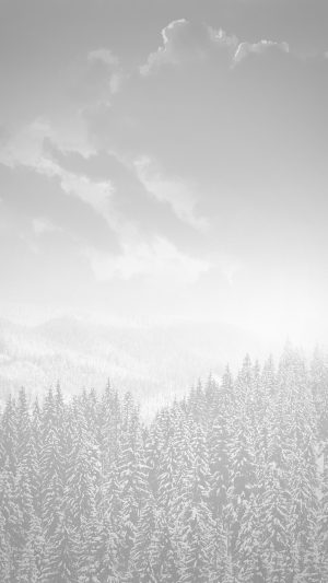 Winter Mountain Snow White Nature Android wallpaper
