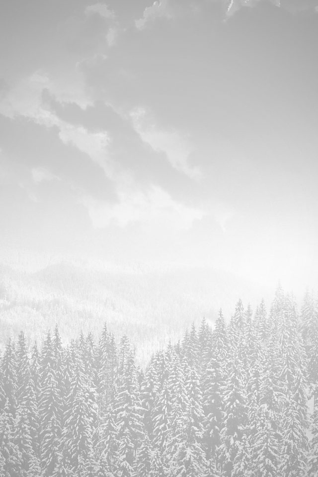 Winter Mountain Snow White Nature Android wallpaper