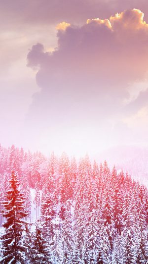 Winter Mountain Snow White Red Nature Android wallpaper