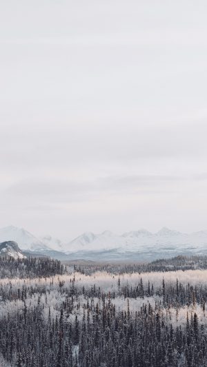 Winter Mountain Wood Nature Snow Android wallpaper