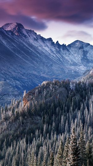 Winter Mountain Woods Tree Nature Cold Android wallpaper