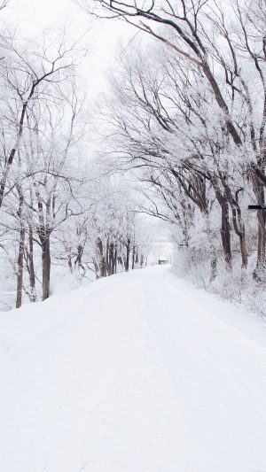 Winter Road Romantic Nature Mountain Snow White Android wallpaper