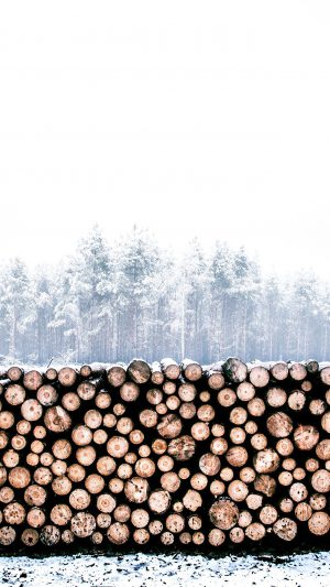 Winter Snow Wood Forest Nature Android wallpaper
