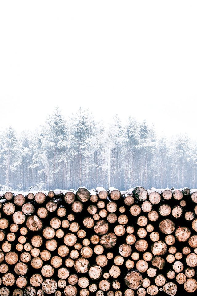 Winter Snow Wood Forest Nature Android wallpaper