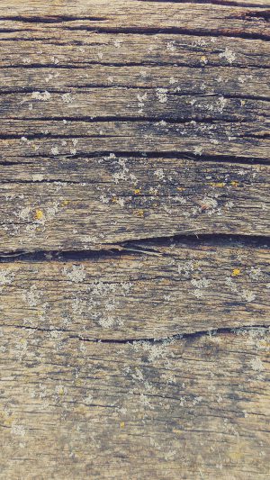 Wood Art Nature Pattern Android wallpaper