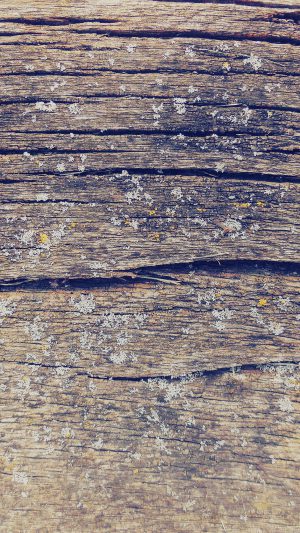 Wood Art Nature Pattern Blue Android wallpaper