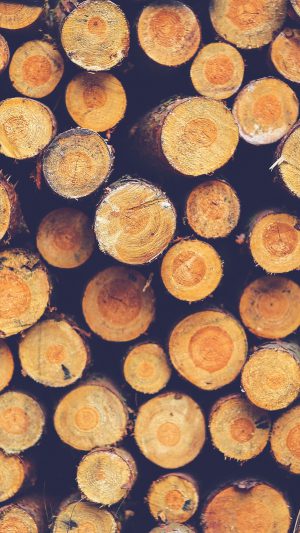 Wood Circle Piles Nature Blue Pattern Android wallpaper