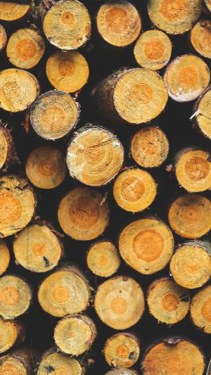 Wood Circle Piles Nature Pattern Android wallpaper