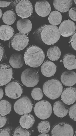 Wood Circle Piles Nature White Dark Bw Pattern Android wallpaper