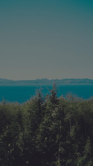 Wood Lake Blue Nature Water Dark Mountain Android wallpaper
