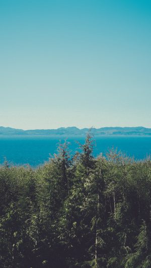 Wood Lake Blue Nature Water Mountain Android wallpaper
