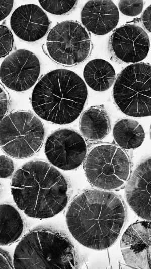 Wood Nature Cut Pattern White Bw Android wallpaper