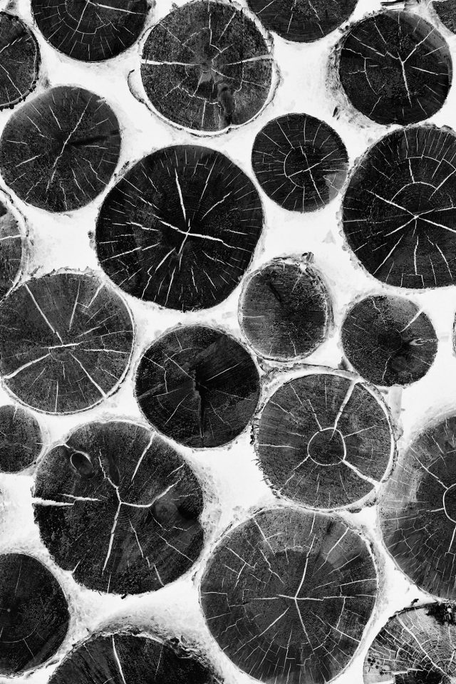 Wood Nature Cut Pattern White Bw Android wallpaper