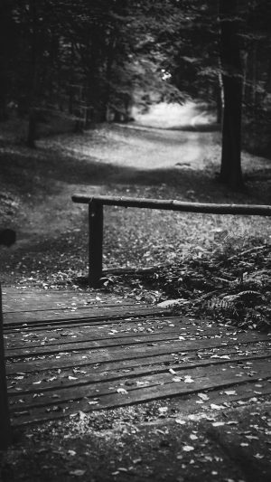 Wood Nature Forest Road Mountain Dark Bw Android wallpaper