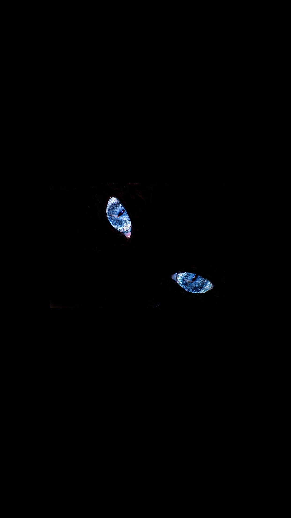 Blue Eyed Cat Minimal Animal Simple Dark Android wallpaper