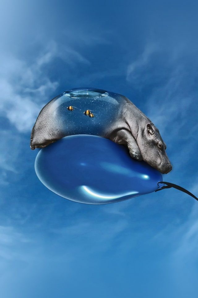 Hippo Bored Ballon Sky Blue Art Illust Animal Android wallpaper