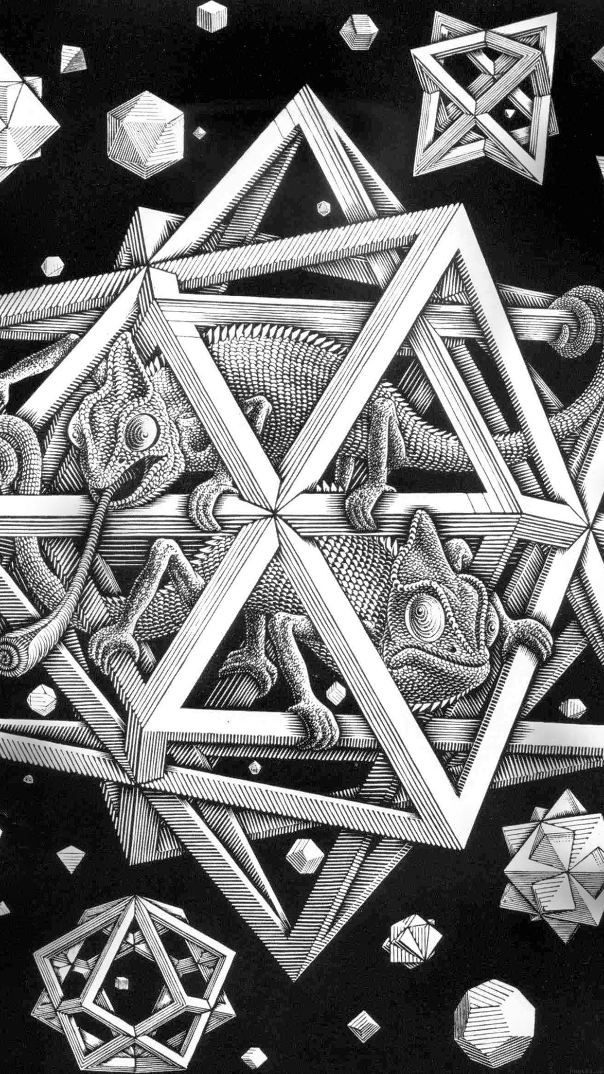 Mc Escher Space Art Illust Lizard Bw Android wallpaper