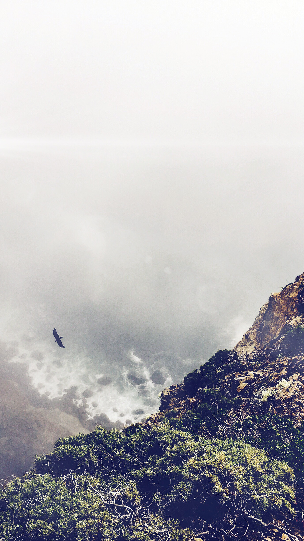 Mountain Bird Cliff Animal Fog Cloud Flare Android ...