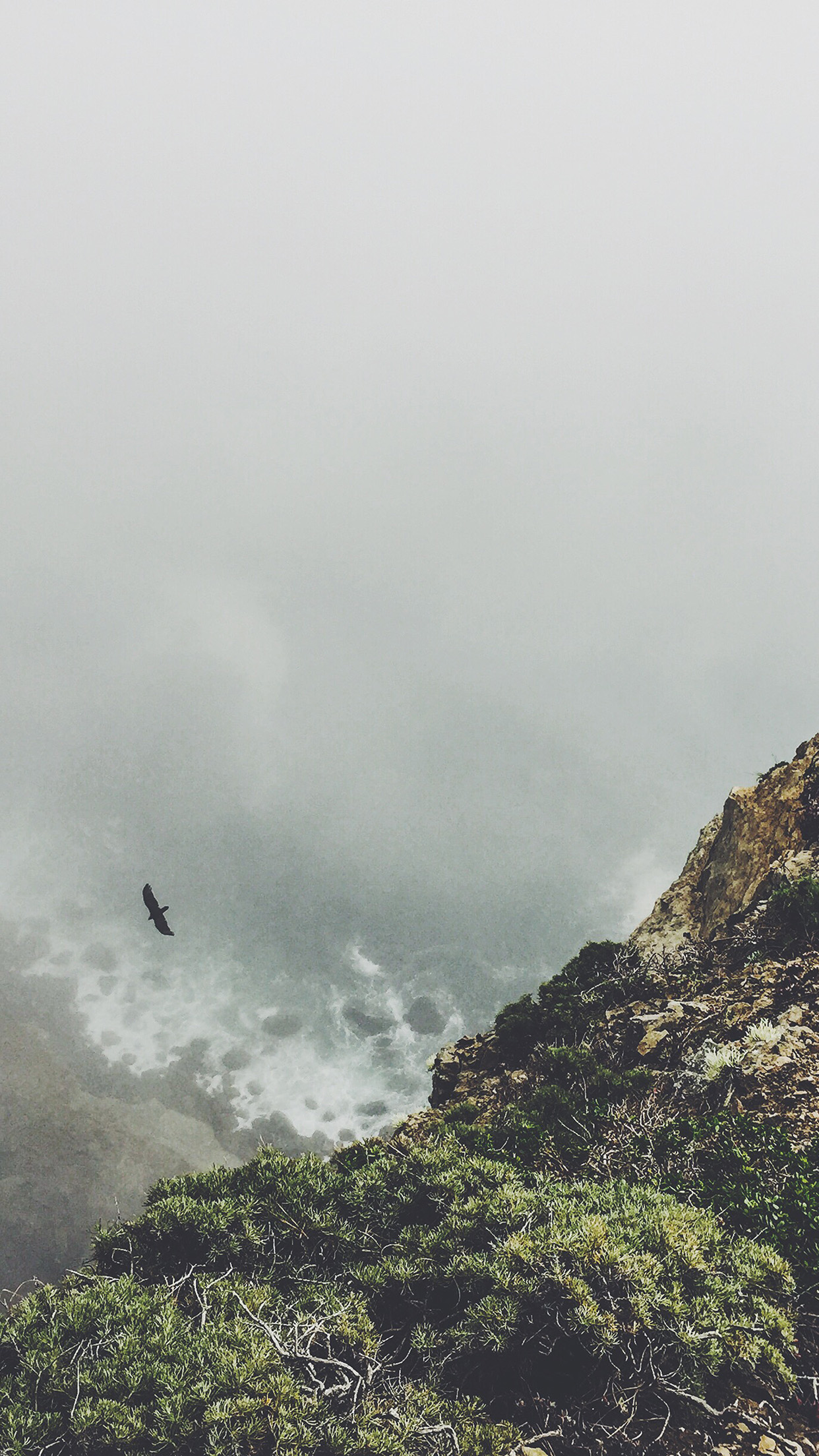 Mountain Bird Cliff Animal Fog Cloud Android wallpaper
