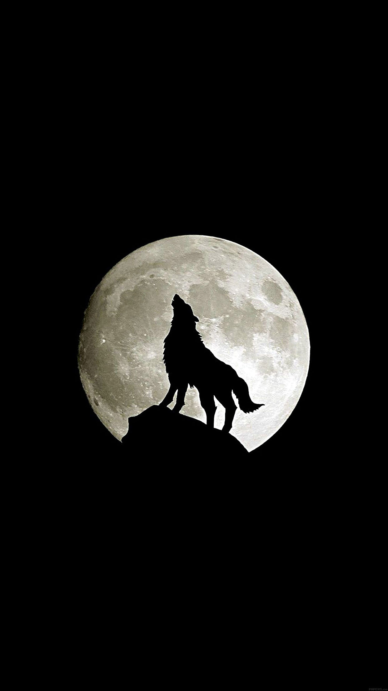 Wolf Howl Animal Dark Minimal Nature Android wallpaper